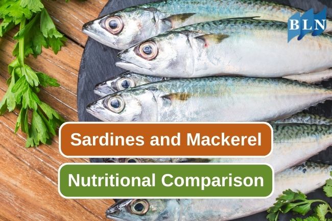 4 Nutritional Differences Between Sardines and Mackerel